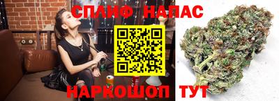 прущие крисы Донской