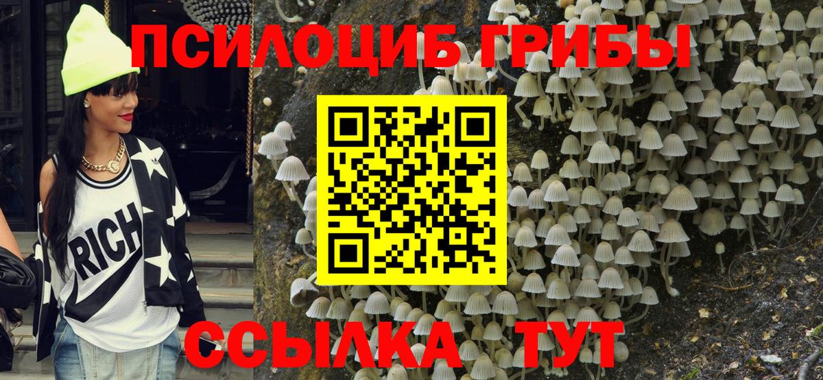 Галлюциногенные грибы Psilocybine cubensis Домодедово