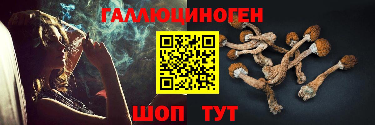 купить закладку  Псилоцибиновые грибы ЛСД  Вход с VPN  Домодедово 